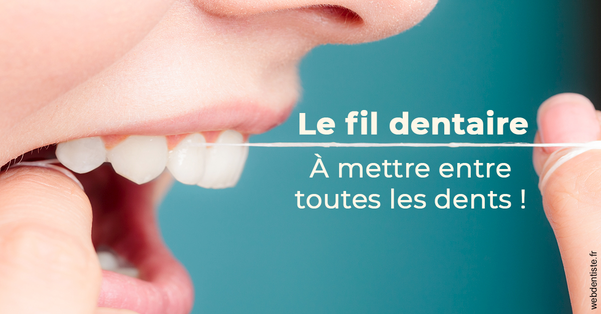https://dr-chevrier-xavier.chirurgiens-dentistes.fr/Le fil dentaire 2