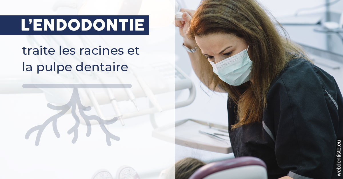 https://dr-chevrier-xavier.chirurgiens-dentistes.fr/L'endodontie 1