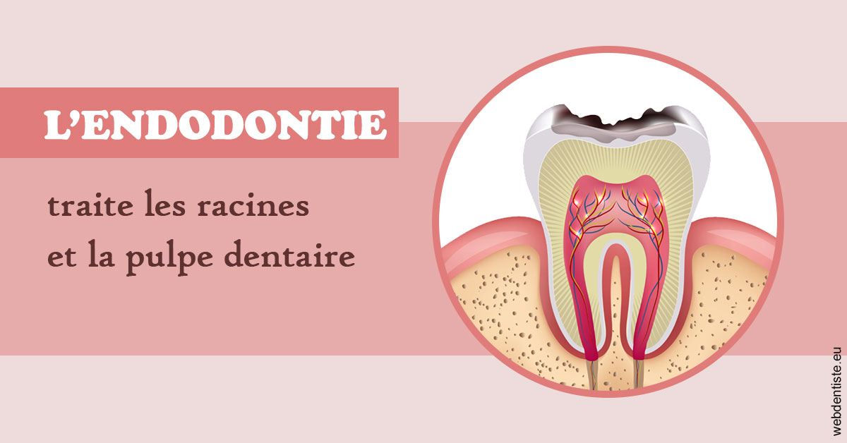 https://dr-chevrier-xavier.chirurgiens-dentistes.fr/L'endodontie 2