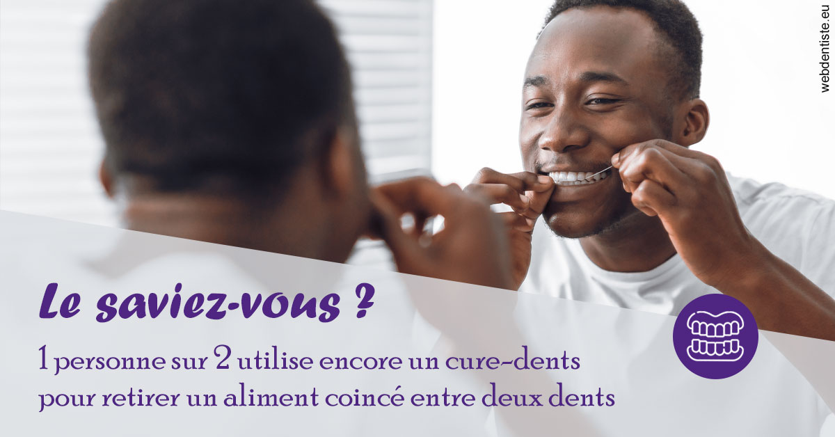https://dr-chevrier-xavier.chirurgiens-dentistes.fr/Cure-dents 2