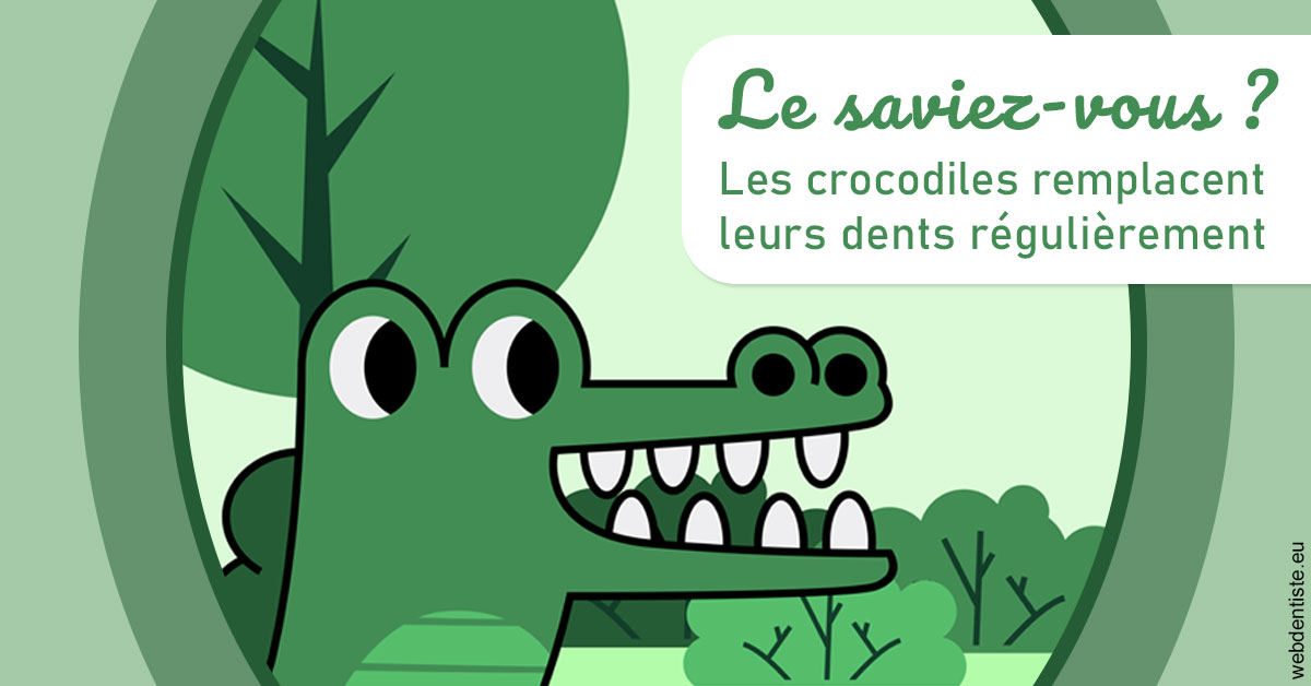 https://dr-chevrier-xavier.chirurgiens-dentistes.fr/Crocodiles 2